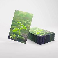 Gamegenic: Smíšený les 185 Art Sleeves 59x91 mm
