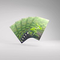 Gamegenic: Smíšený les 185 Art Sleeves 59x91 mm