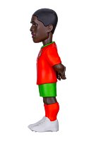 MINIX Football 26WC Portugal - MENDES