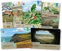 Smíšený les: Dartmoor Exmoor