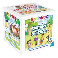 BrainBox - domácí mazlíčci (2. jakost)