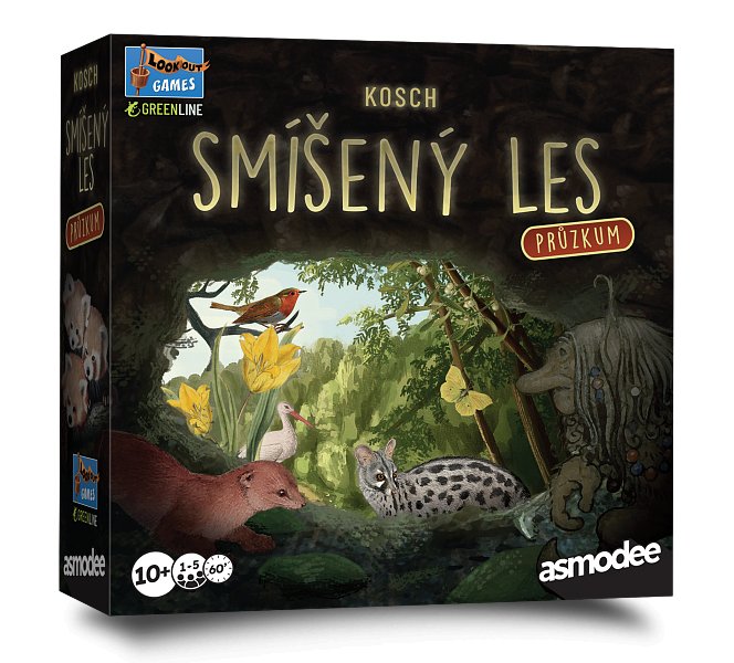 Smíšený les: Průzkum